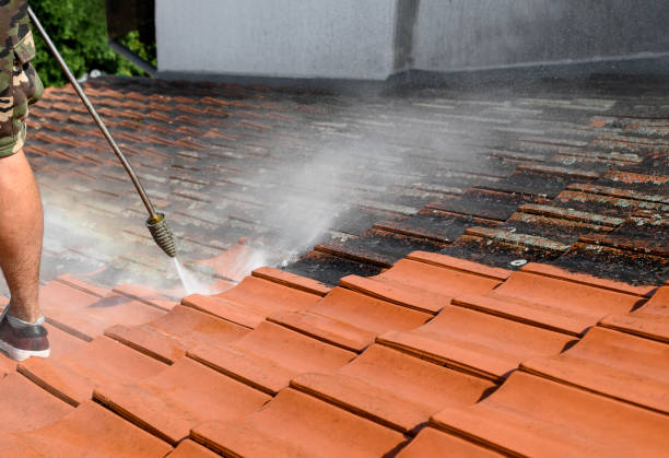 Best Concrete Pressure Washing  in North Merritt Island, FL