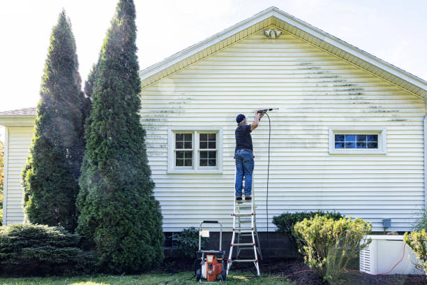 Best Roof Pressure Washing  in North Merritt Island, FL